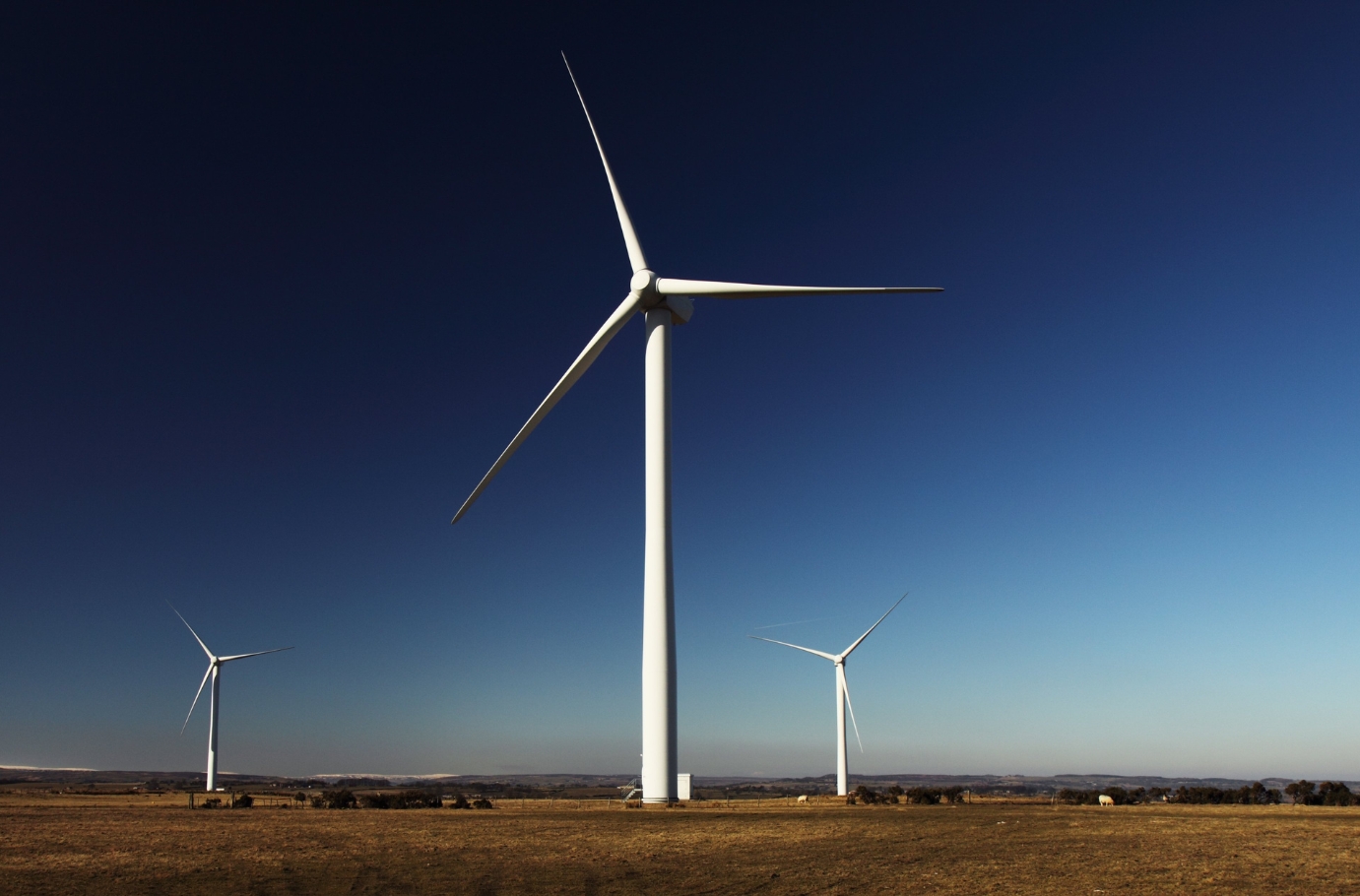 Investors: The construction of wind energy facilities needs to be accelerated through tax incentives